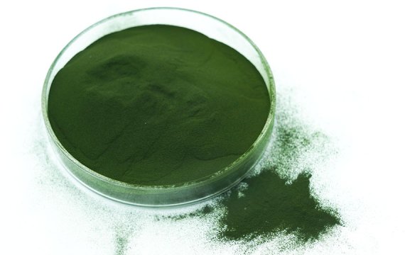 Chlorella Powder 