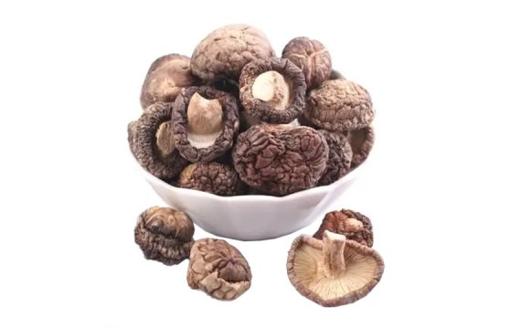 Shiitake Mushroom