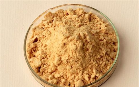 Factory Supply 5% Gingerols Ginger Root Extract Powder