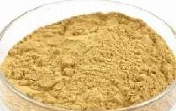 Water Soluble Instant Ginger Extract/Instant Ginger Extract Powder 