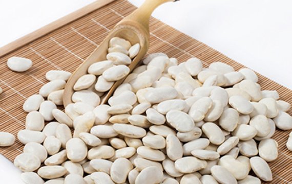 White Kidney Bean Extract 1% 2% Phaseolin Powder