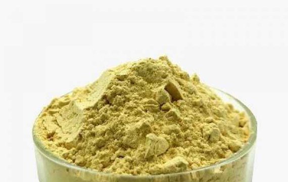 Organic Certified 100% Natural Pure Dried Ginger Root Extract Powder 