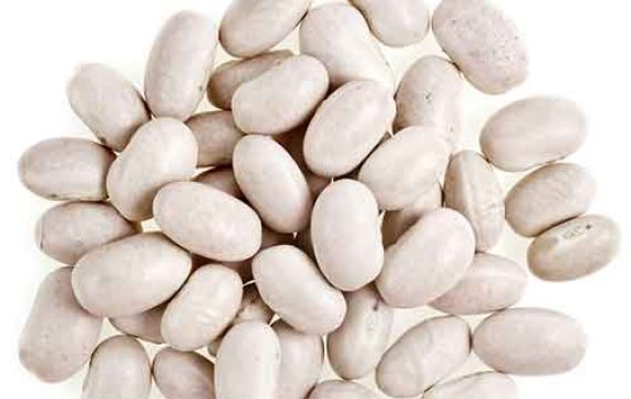 White Kidney Bean Extract Powder Phaseolin 4: 1 10: 1 20: 1