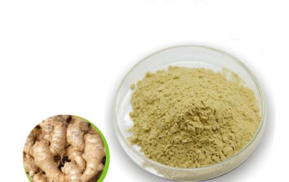 Ginger Root Extract Powder 5% Gingerols