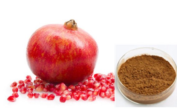 Wholesale Pomegranate Peel Extract Powder Custom Pomegran Powder 40%-90%    